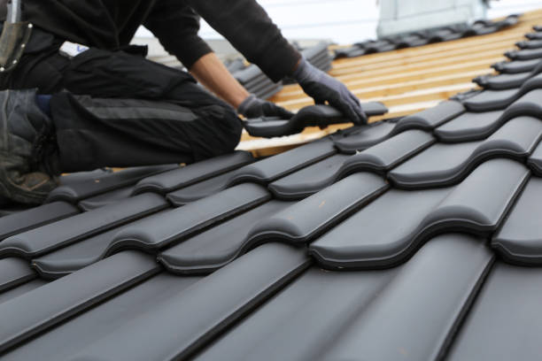 Best Roof Maintenance and Cleaning  in USA